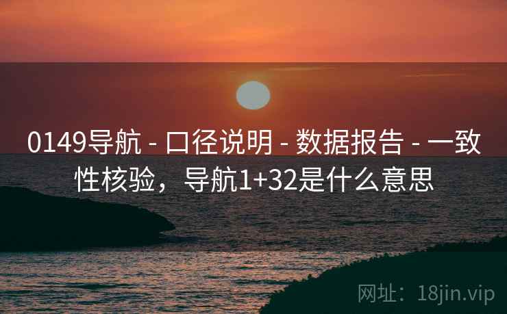 0149导航 - 口径说明 - 数据报告 - 一致性核验，导航1+32是什么意思