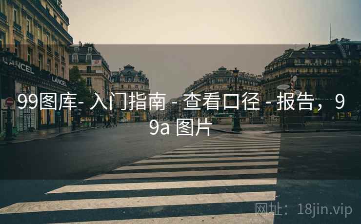 99图库- 入门指南 - 查看口径 - 报告,99a 图片 99图库- 入门指南 - 查看口径 - 报告,99a 图片